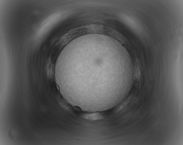 X0000083550431200703021656