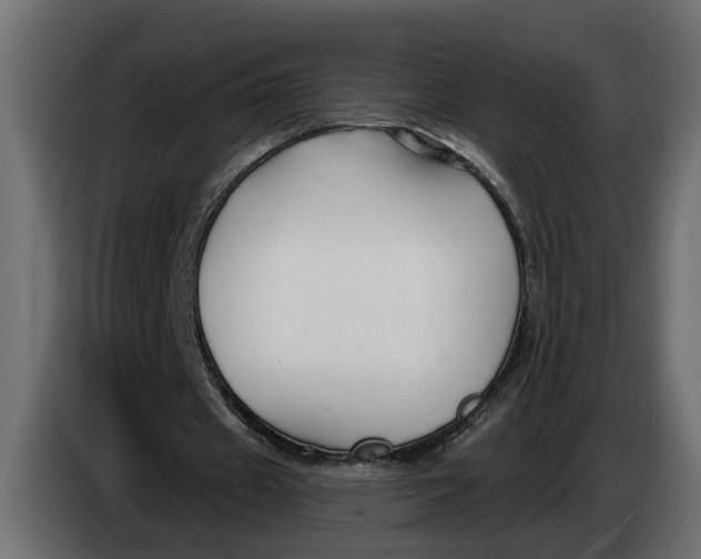X0000083550433200703021655