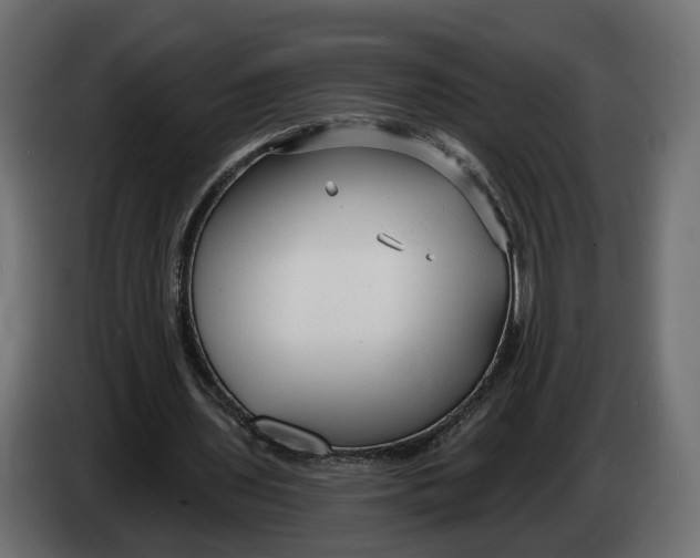 X0000083550435200703021655