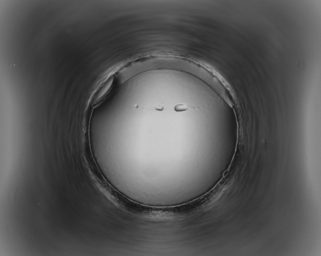 X0000083550437200703021655