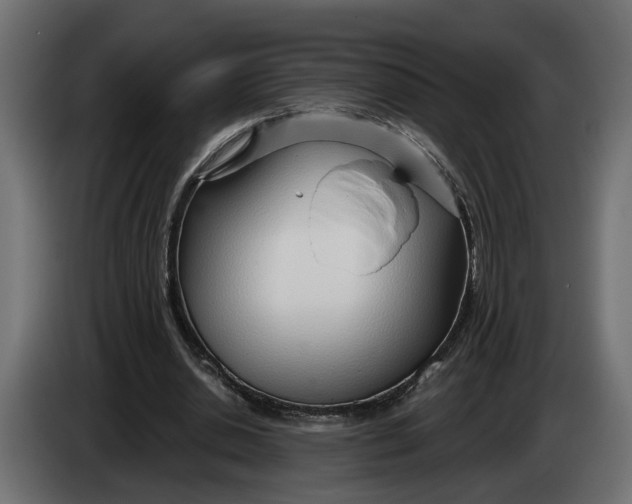 X0000083550438200703021655