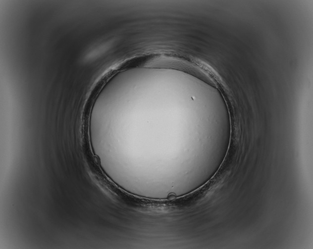 X0000083550439200703021655
