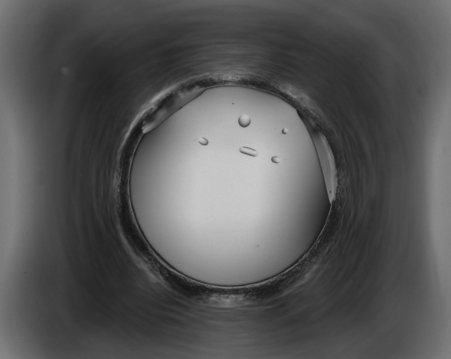 X0000083550440200703021655