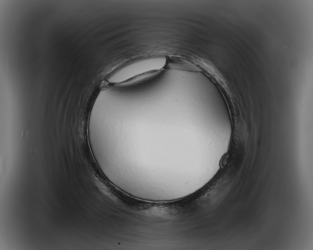 X0000083550441200703021655