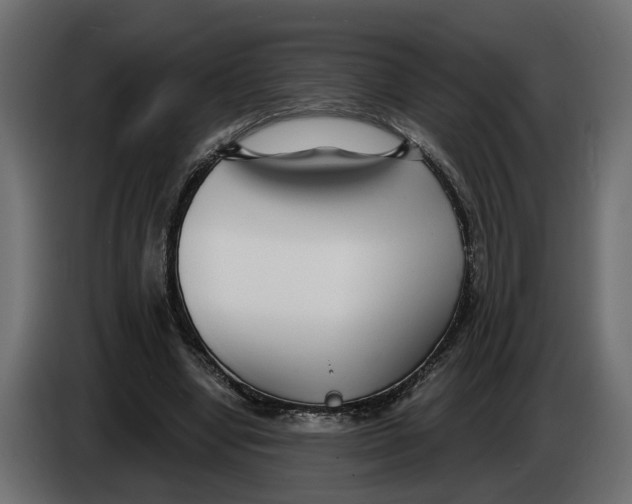 X0000083550442200703021655