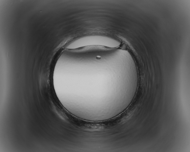 X0000083550443200703021655