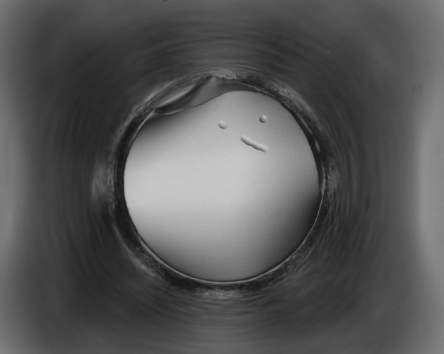 X0000083550444200703021655