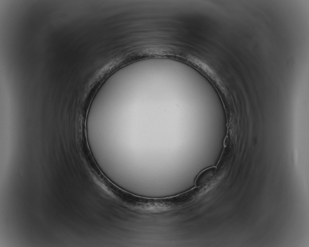X0000083550445200703021655