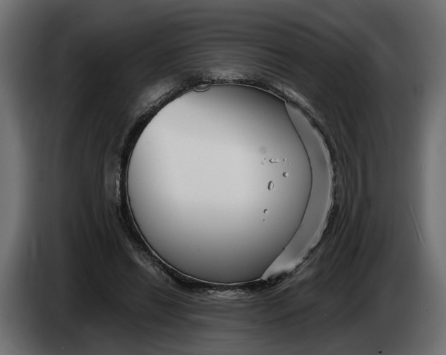 X0000083550446200703021655
