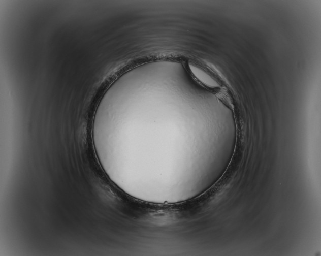 X0000083550447200703021655