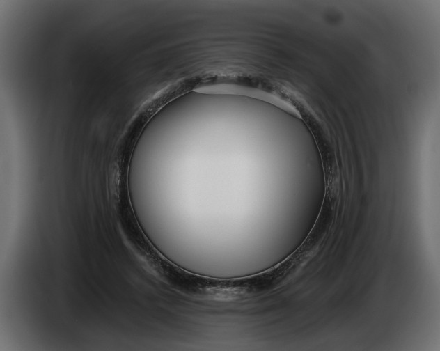 X0000083550448200703021655