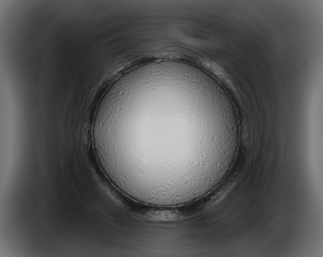 X0000083550449200703021655