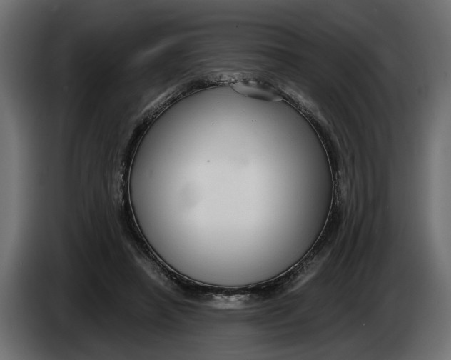 X0000083550450200703021655