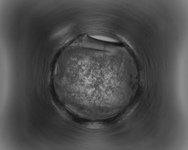 X0000083550451200703021655