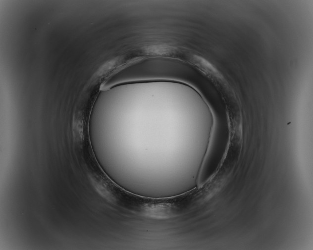 X0000083550452200703021655