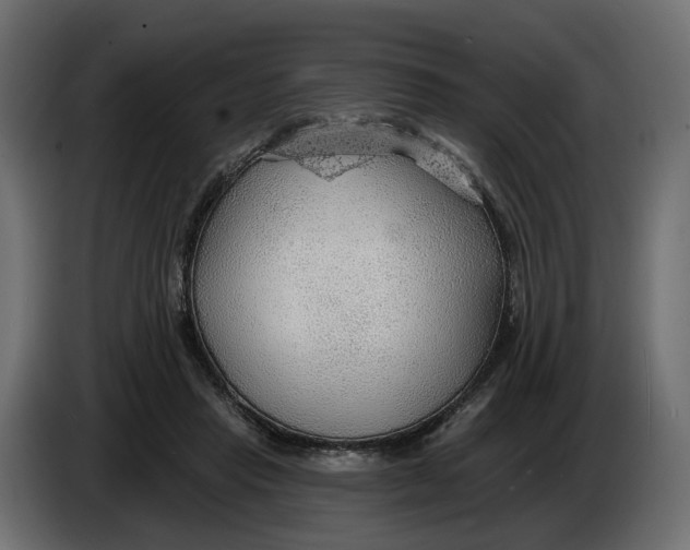 X0000083550453200703021655