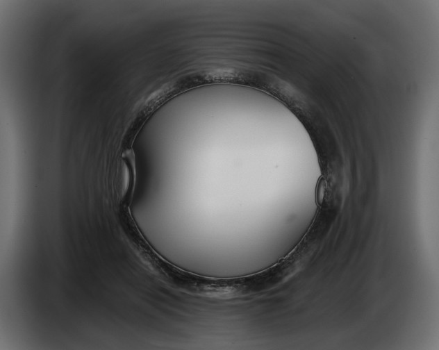 X0000083550454200703021655