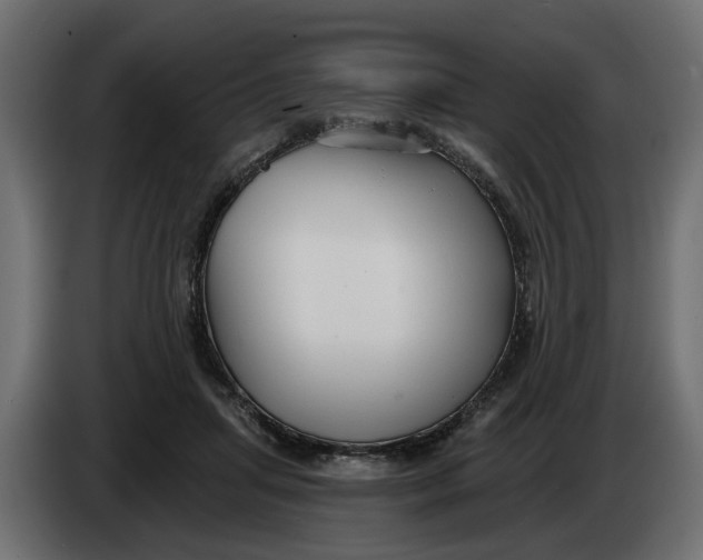 X0000083550455200703021655