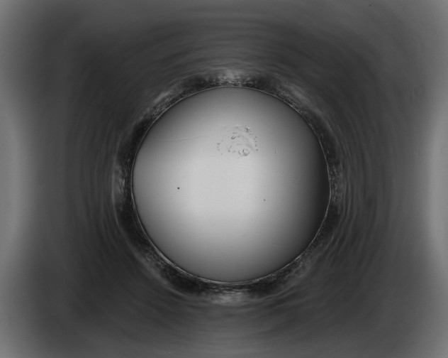 X0000083550456200703021655