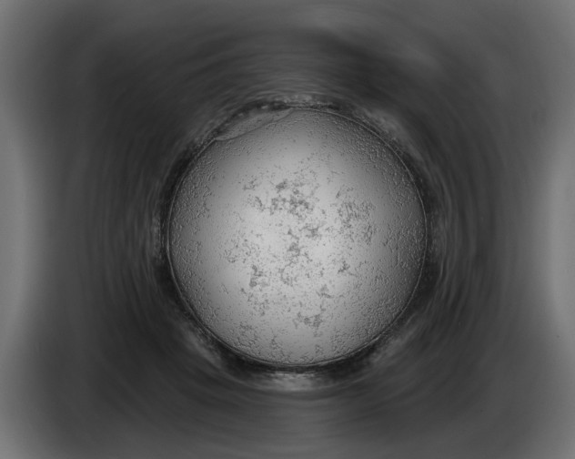 X0000083550457200703021655