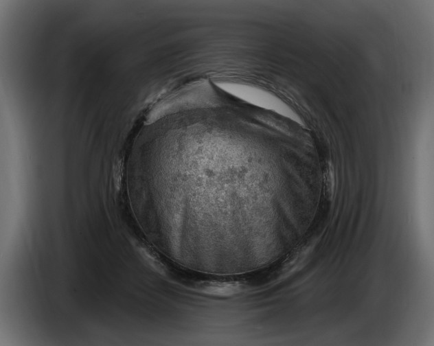 X0000083550458200703021655