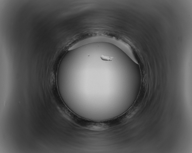 X0000083550459200703021655