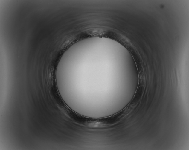 X0000083550460200703021655
