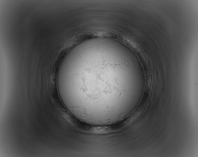 X0000083550461200703021655