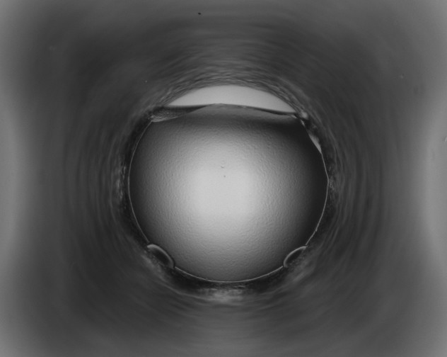 X0000083550462200703021655