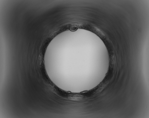 X0000083550463200703021656