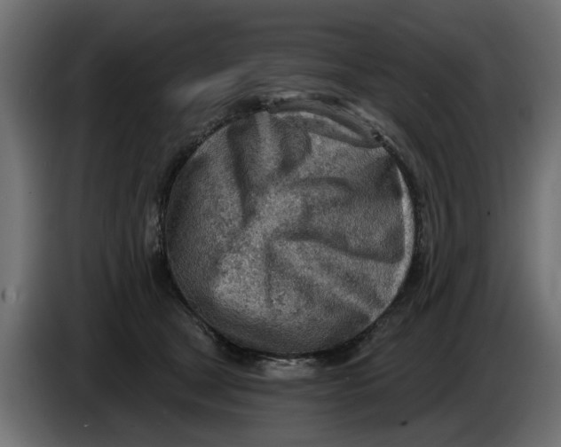 X0000083550465200703021656