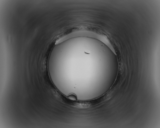 X0000083550466200703021656
