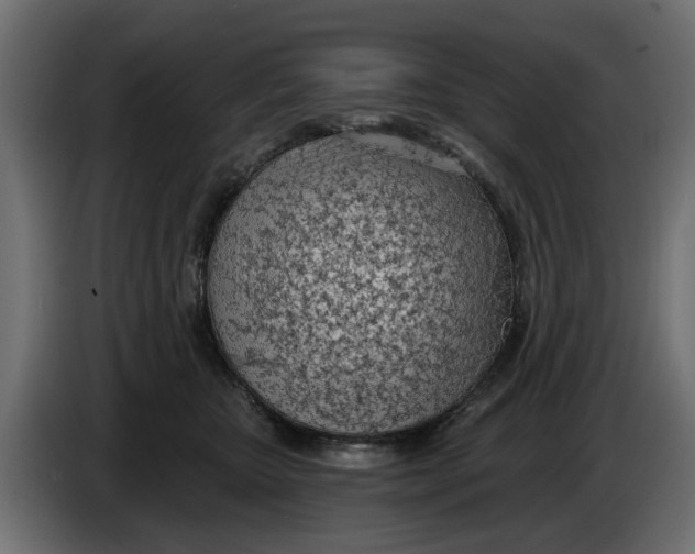 X0000083550467200703021656