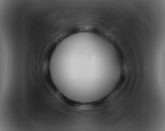 X0000083550468200703021656