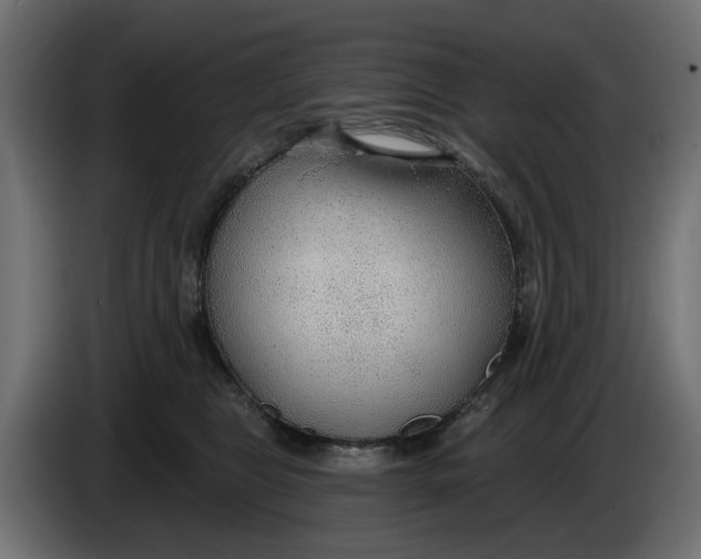 X0000083550469200703021656