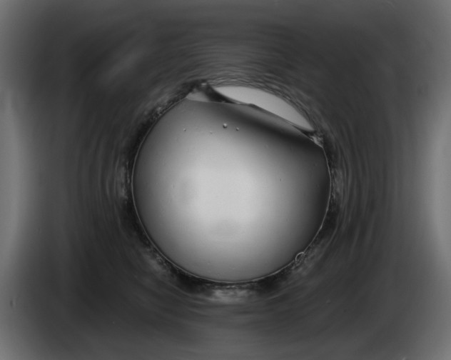 X0000083550470200703021656