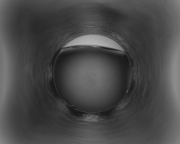 X0000083550471200703021656