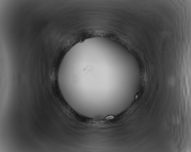 X0000083550472200703021656