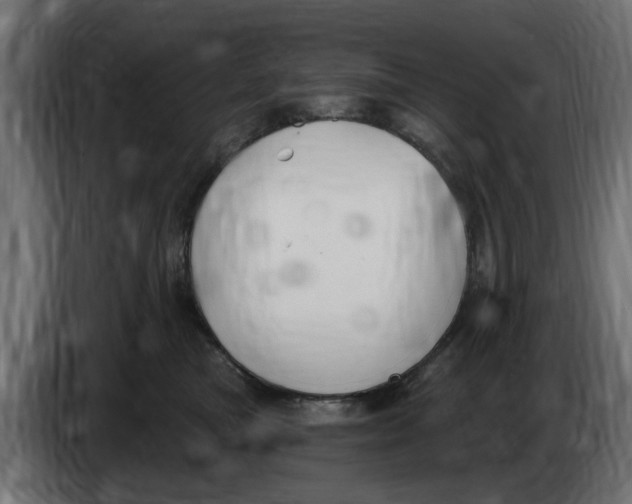 X0000083550473200703021656