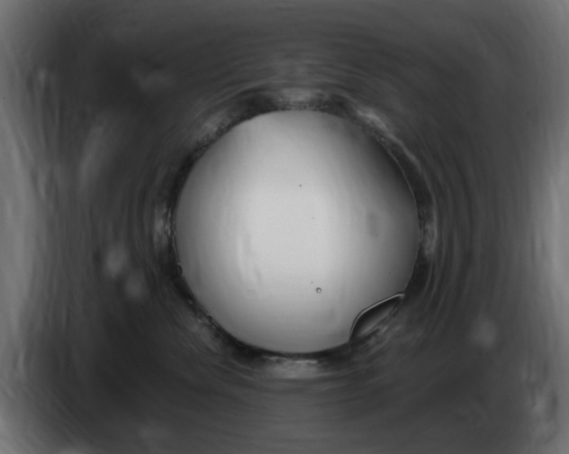 X0000083550476200703021656