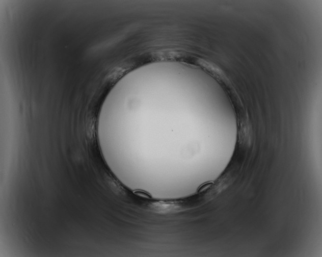 X0000083550477200703021656