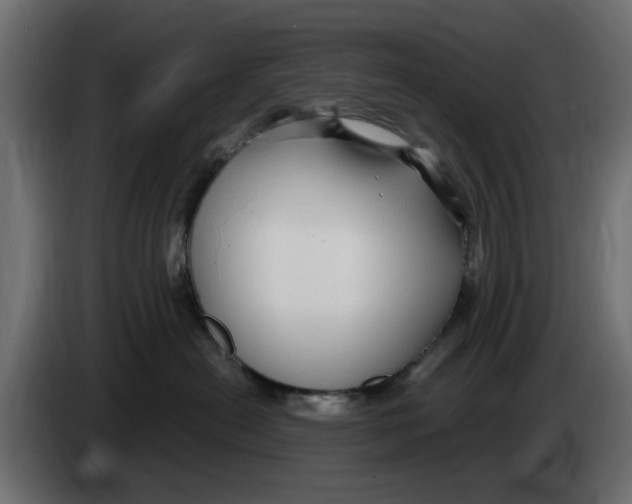 X0000083550478200703021656