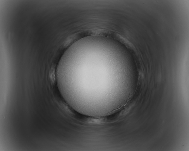X0000083550479200703021656