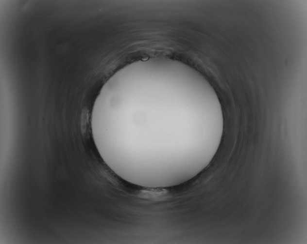X0000083550480200703021656