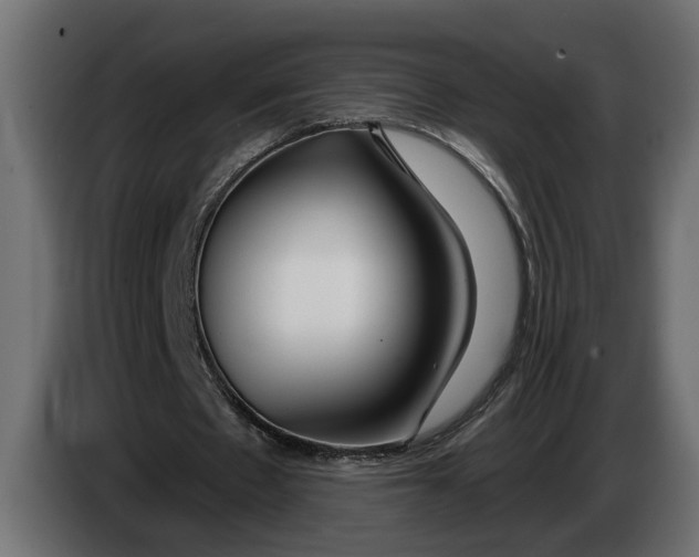 X0000083550481200703021655