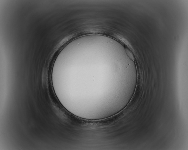 X0000083550482200703021655