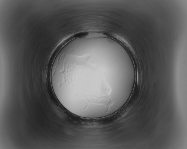 X0000083550483200703021655