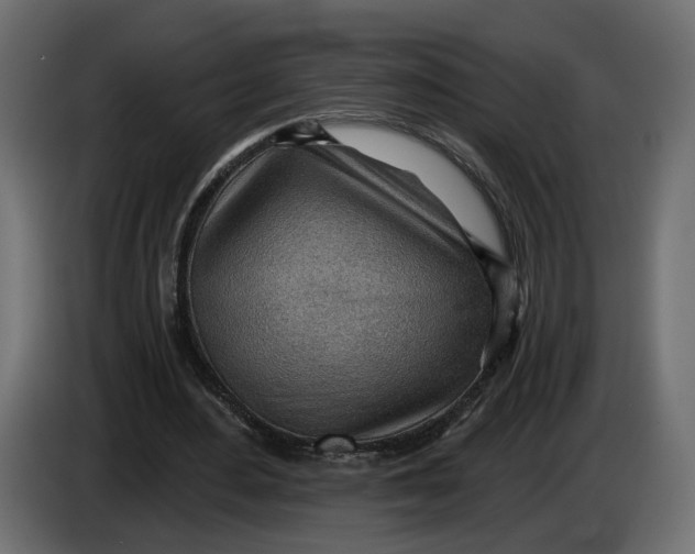 X0000083550484200703021655