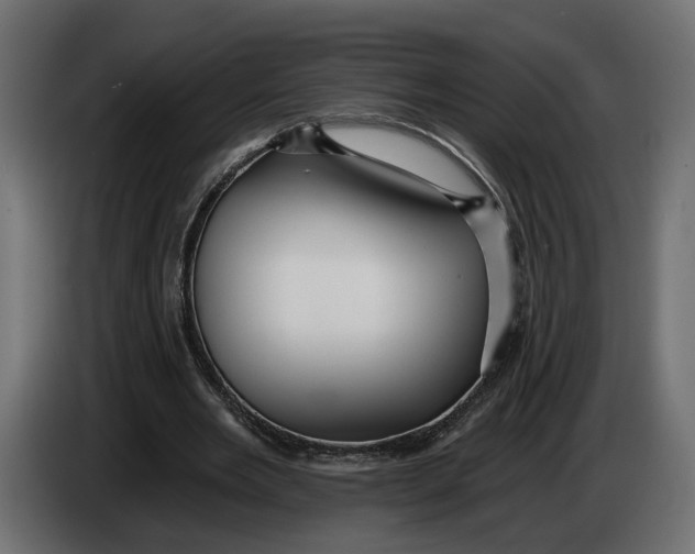 X0000083550485200703021655