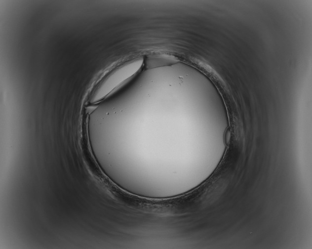 X0000083550486200703021655